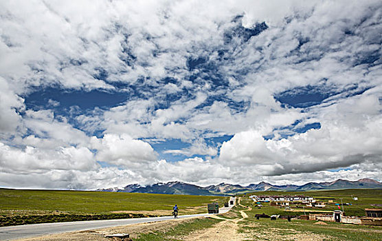 atrungroi mn