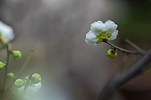 soi cầu 368