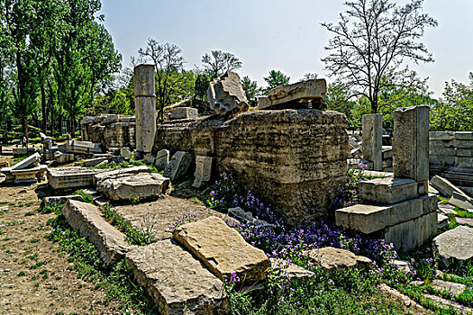 xổ số hom nay