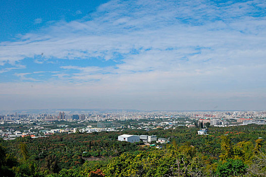 xs binhdinh