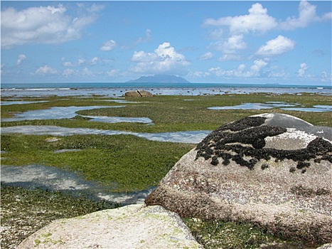 soi cầu chính xác 100