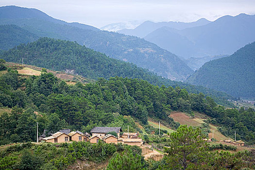 xs trà vinh