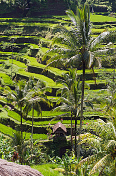 du doan xsmn trung thuong