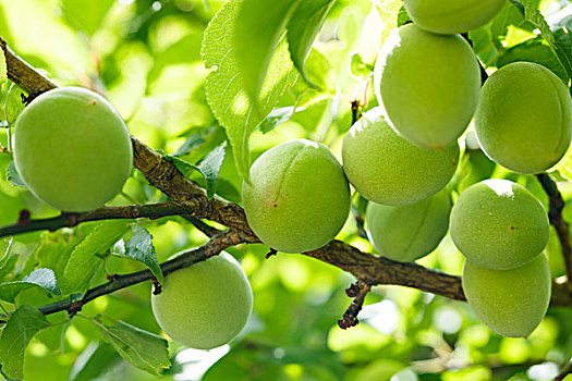 kqxs bình thuận