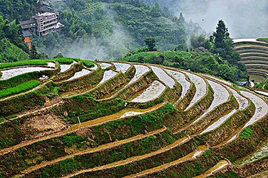 xs thu hai hang tuan