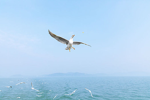 cách chơi số đề miền nam