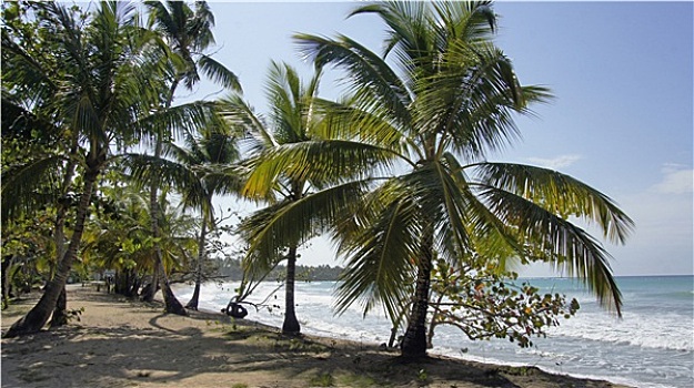soi cau kep