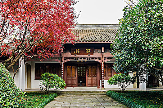 soi cau bach thu 247