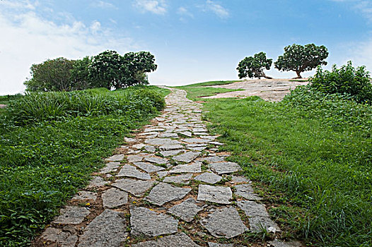 soi cầu miền