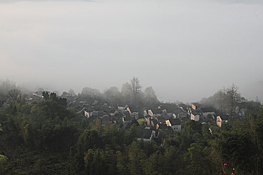 soi cau bach kim 888
