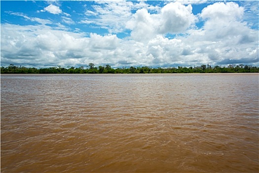 thống kê bach thủ