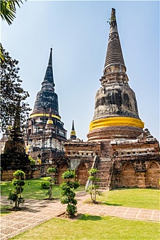soicau888 rongbachkim