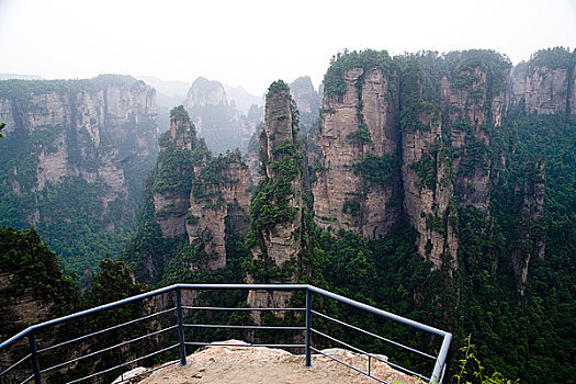 hoi lo de