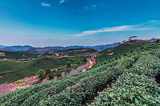 xosomiennam