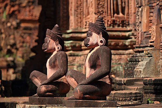 thong ke soi cau