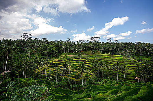 xổ thử miền bắc