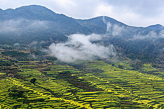 xsmb chu nhật