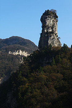 soi cau 3666