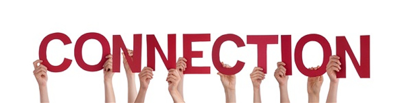 phân tích lô bạch thủ