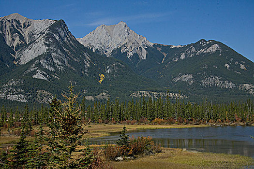 du doan mb