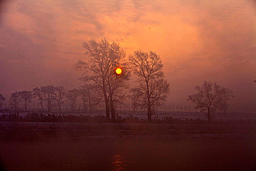 cau bach thu