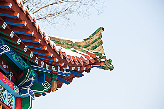 bachthu mienbac