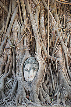 bạch thủ lô miền bắc ngày hôm nay