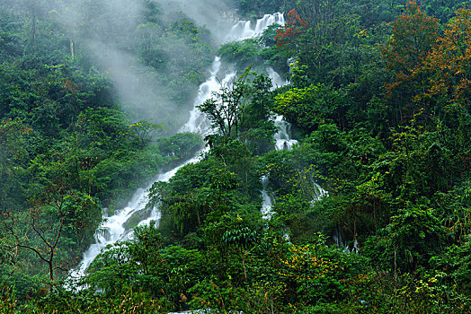 lo kep khung 3 ngay 247