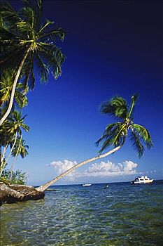 cầu lô đẹp