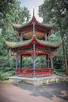 soi cau hoang minh