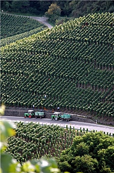 bao lô miền nam