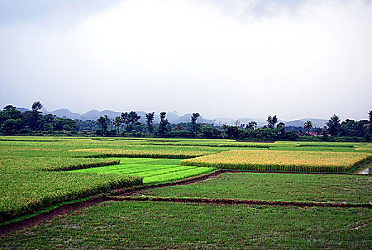 thong ke dac biet tuan