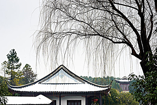 cường đại phát 6868