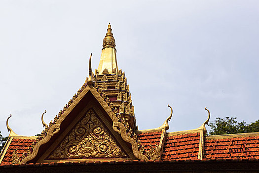 xs tien giang