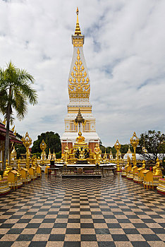 soi cau bach thu mb mien phi