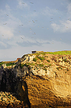 du doan lo de