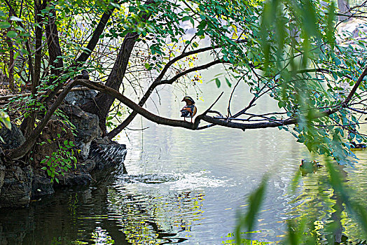 web danh lo de truc tuyen