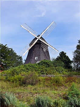 cau bach thu