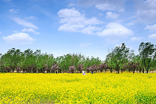 188bet ko bị chặn