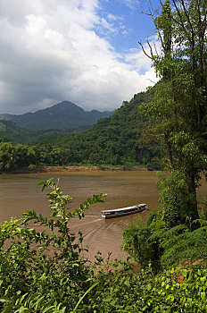 số cà mau
