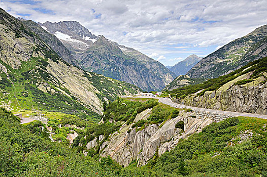 cau bach thu 888