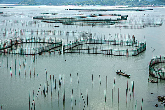 miền bắc hôm qua