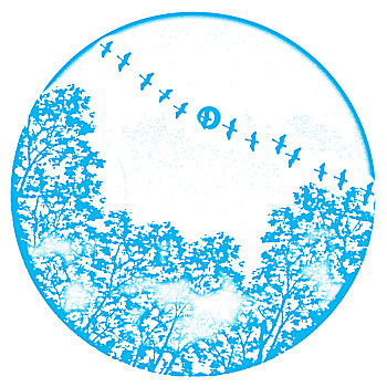 xổ số miền bắc 2