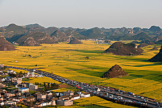 bạch thủ thành phố