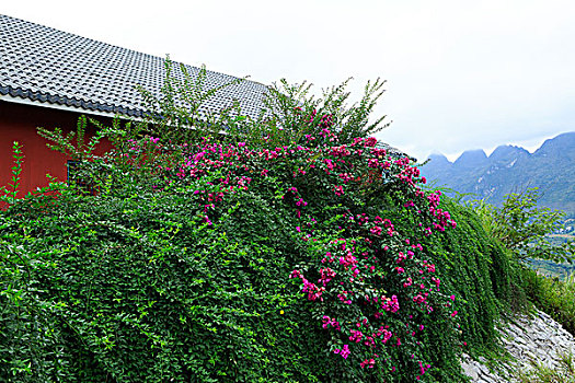 xshcm minh ngoc