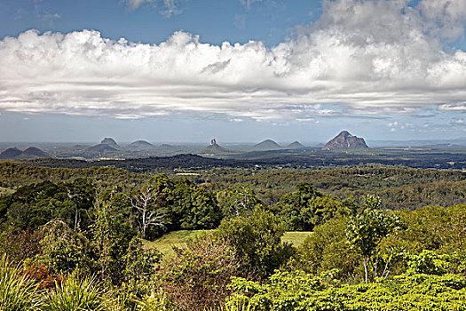 soi cau bach kim