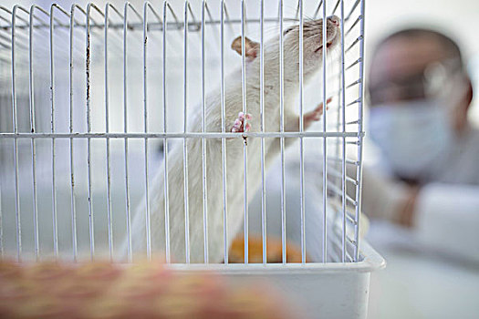 sô kết quả