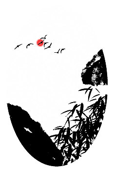 cau 247