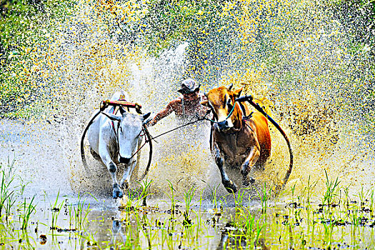 du doan xsdn sieu chuan
