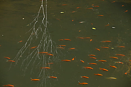 số lô đẹp hôm nay
